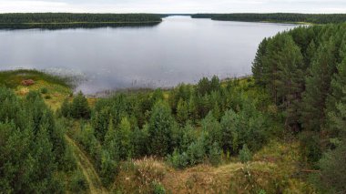 Taiga 'daki bir tepeden Orman Gölü