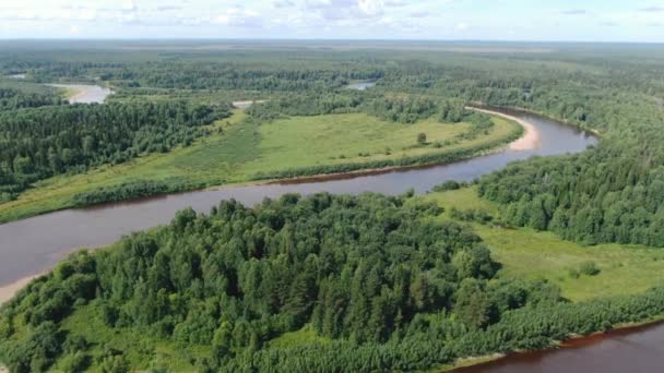 Rio de floresta no verão taiga de uma altura de voo — Vídeo de Stock