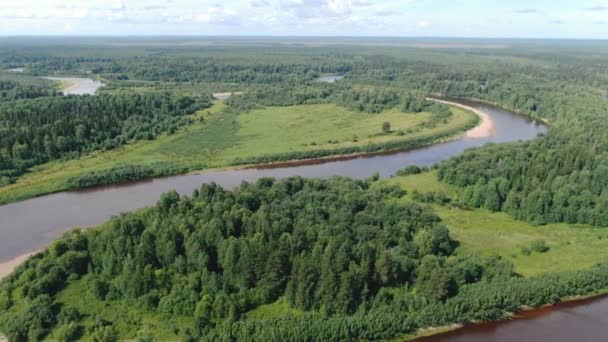 Río del bosque en la taiga de verano desde una altura de vuelo — Vídeos de Stock