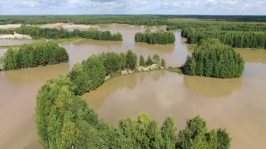 Taiga Orman Gölü üzerinden uçmak