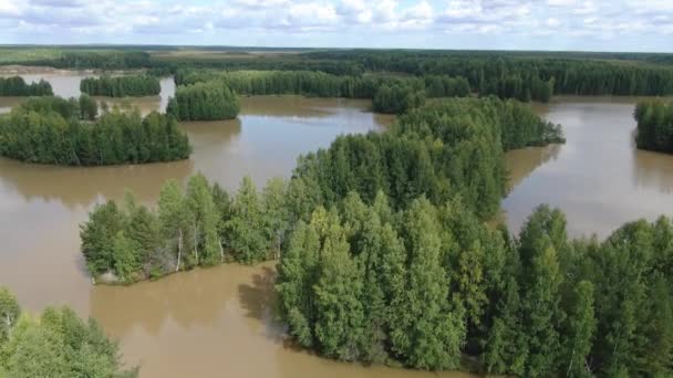 Vuelo sobre el lago del bosque de taiga — Vídeos de Stock