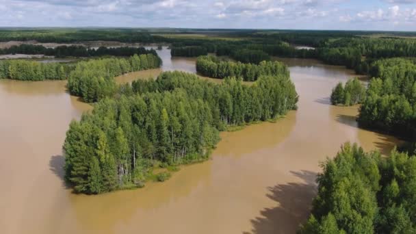 Voo sobre o lago da floresta de taiga — Vídeo de Stock