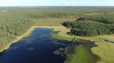 Taiga Orman Gölü üzerinden uçmak