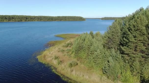 Volo sul lago della foresta di taiga — Video Stock