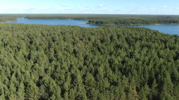 Voo sobre o lago da floresta de taiga — Vídeo de Stock