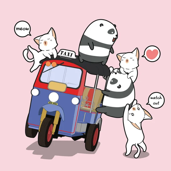 Kawaii Pandas Gatos Com Triciclo Motor —  Vetores de Stock