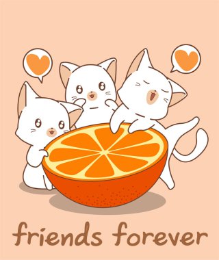 Sevimli bir kedi ile sevimli panda burger