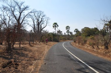 Manzara Chobe Ulusal Parkı