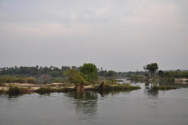 Zambezi Nehri Alacakaranlıkta — Stok fotoğraf