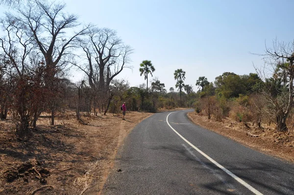 Manzara Chobe Ulusal Parkı