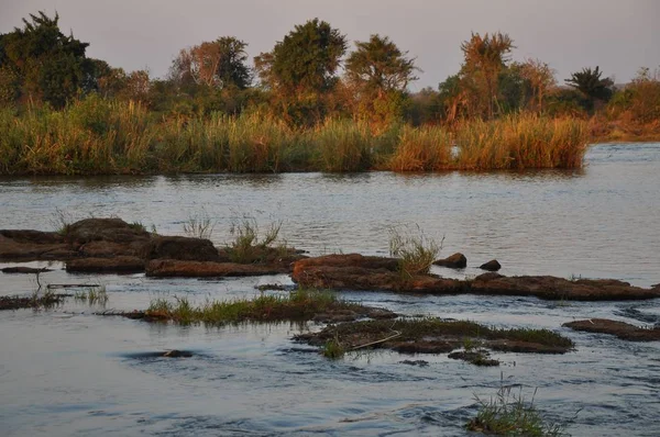 Chobe Folyó Botswana — Stock Fotó