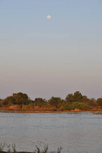Ποταμό Chobe Μποτσουάνας — Φωτογραφία Αρχείου