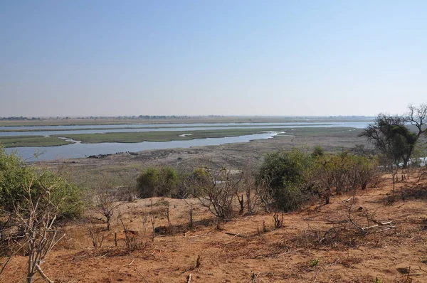 Άγρια Φύση Του Chobe Riverfront — Φωτογραφία Αρχείου