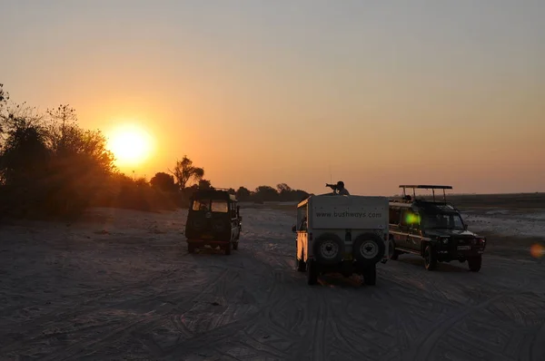 Chobe Nemzeti Park Susnet — Stock Fotó