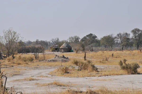 Okavango Delta Táj — Stock Fotó