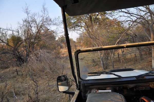 Okavango Delta Táj — Stock Fotó