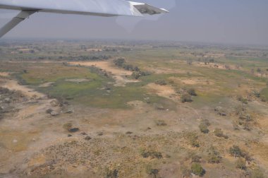Delta Okavango havadan görünümü