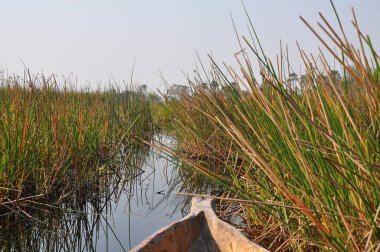 Parlak manzaralı Okavango Delta, Botsvana