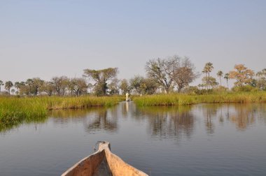 Parlak manzaralı Okavango Delta, Botsvana