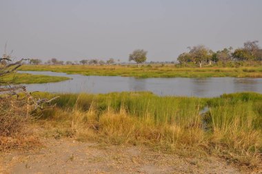 Parlak manzaralı Okavango Delta, Botsvana
