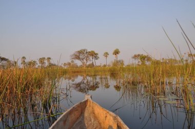 Mokoro tekne turu Okavango Deltası'nda
