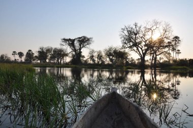 Mokoro tekne turu Okavango Deltası'nda