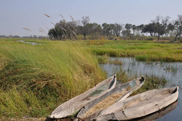 Mokoro Hajókirándulás Okavango Delta — Stock Fotó