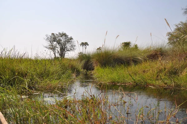 Gita Barca Mokoro Nel Delta Dell Okavango — Foto Stock