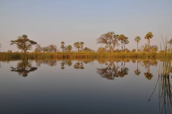 Mokoro Hajókirándulás Okavango Delta — Stock Fotó