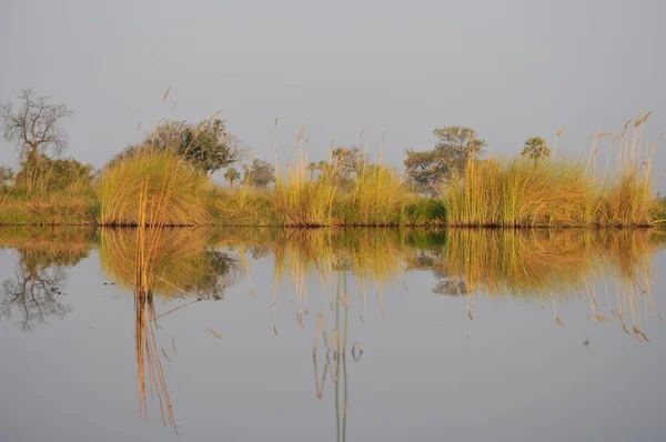 Viagem Barco Mokoro Delta Okavango — Fotografia de Stock