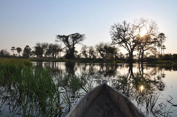 Gita Barca Mokoro Nel Delta Dell Okavango — Foto Stock