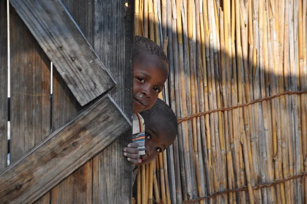 Moremi Botswana August 2013 Boys Looking Out Fence — Stock Photo, Image