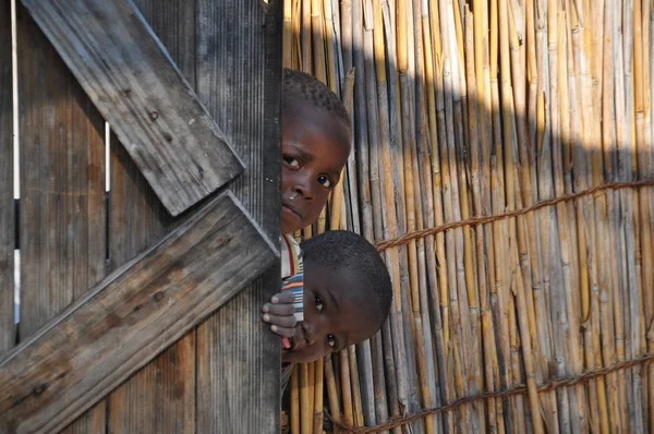 Moremi Botswana August 2013 Jungs Blicken Aus Dem Zaun — Stockfoto