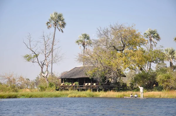 Vista Panoramica Luminosa Del Delta Dell Okavango Botswana — Foto Stock