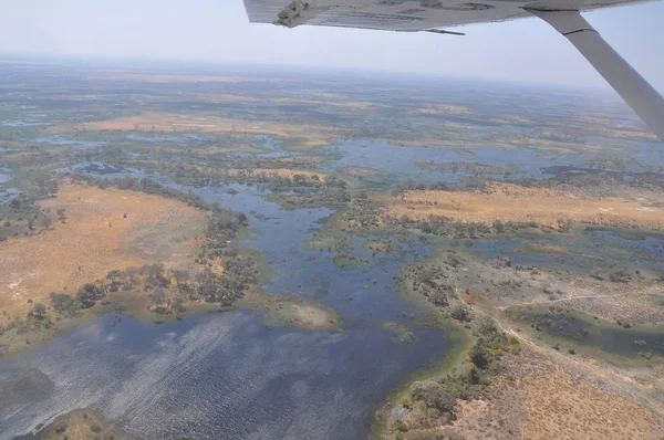 Delta Okavango havadan görünümü