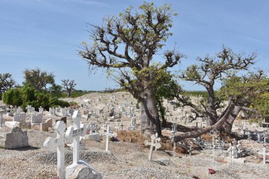 Ada midye kabukları, Fadiouth, Petite Cote, Senegal