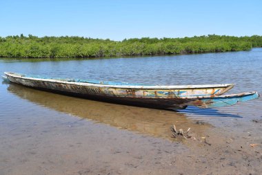 Saloum Nehri yakınında: Kaolack, Senegal, Batı Afrika