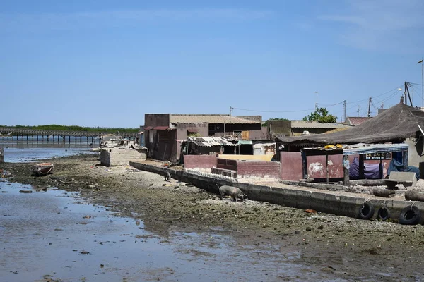 Eiland Van Clam Shells Fadiouth Petite Cote Senegal — Stockfoto