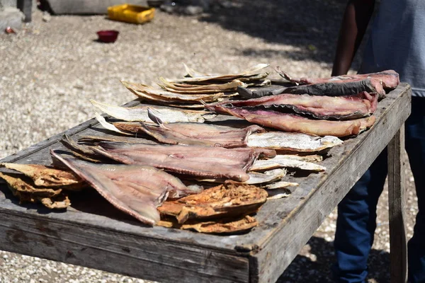 Clam Skal Fadiouth Petite Côte Senegal — Stockfoto