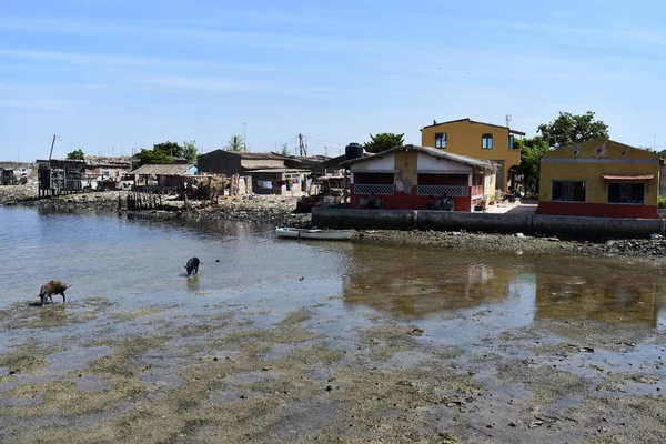 Ada Midye Kabukları Fadiouth Petite Cote Senegal — Stok fotoğraf