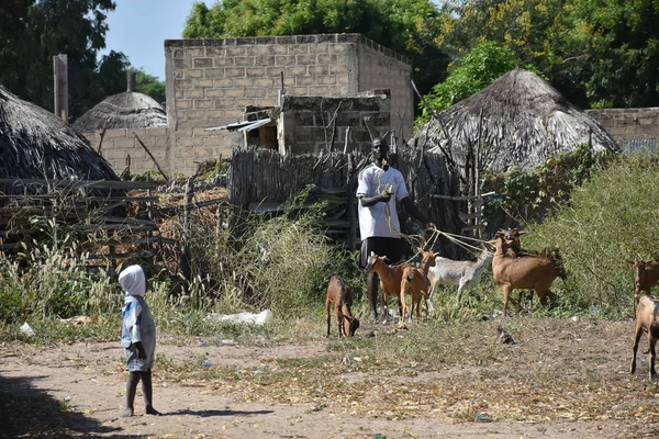 Leven Van Lokale Bevolking Het Dorp Van Sipo Eiland — Stockfoto