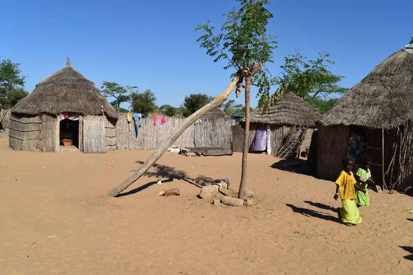 Leven Van Mensen Toubacouta — Stockfoto