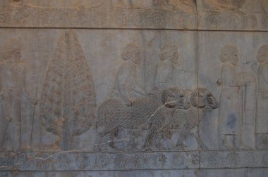 İran, Antik Persepolis Kompleksi