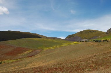 Volcano Cotopaxi önünde alan peyzaj 
