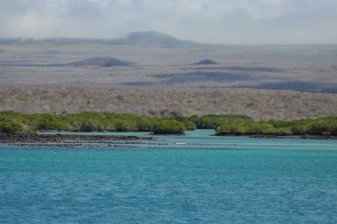 Sandy beach of Genovesa Island, Galapagos, Ecuador 
