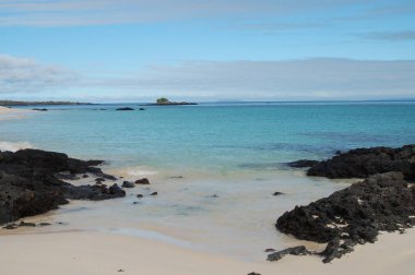 Sandy beach of Genovesa Island, Galapagos, Ecuador 