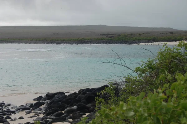 Costa Ilha Espanola Parque Nacional Galápagos Equador — Fotografia de Stock