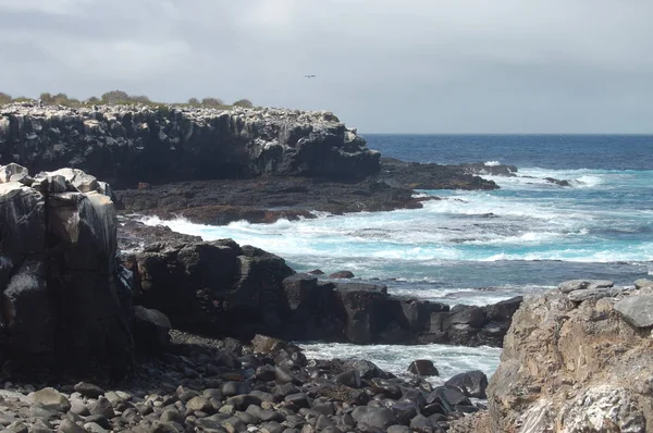 Côte Île Espanola Parc National Des Galapagos Équateur — Photo