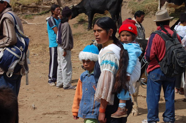 view of the fruit and vegetable market of Otavalo