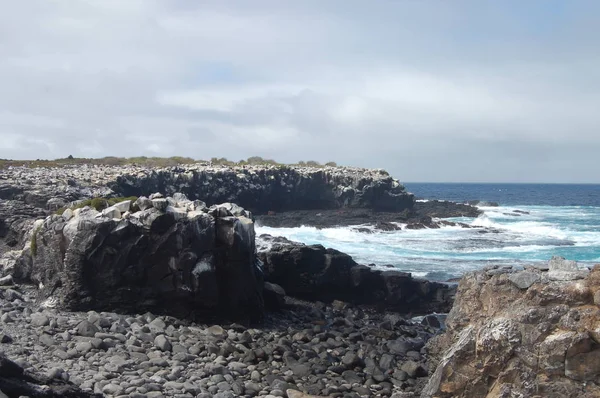 Côte Île Espanola Parc National Des Galapagos Équateur — Photo